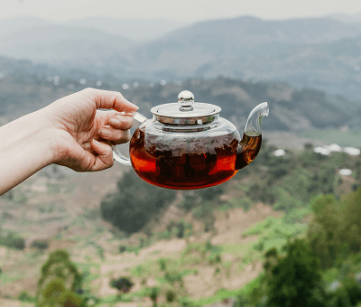 What is Black Tea